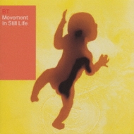 Movement In Still Life
