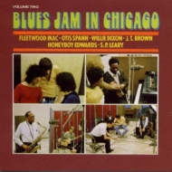 Blues Jam In Chicago Vol 2