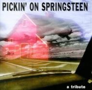 Various/Pickin On Springsteen