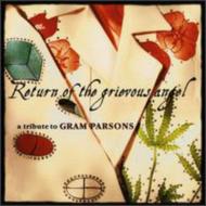 Various/Return Of The Grievous Angel -tribute To Gram Parsons