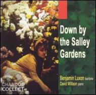 ζʥ˥Х/Luxon(Br)willison(P) Down By The Salley Gardens