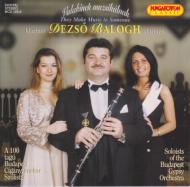 Classical/They Make Music To Someone-hungarian Songs： Balogh(Cl)badapest Gypsy. o