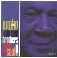 Pucho  His Latin Soul Brothers/El Nino