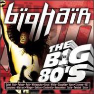 Various/Vh1 - Big 80s  Big Hair