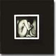 �p���h���̙�