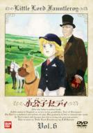 �����q�Z�f�B 6