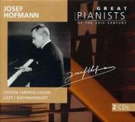 Josef Hoffmann Great Pianists