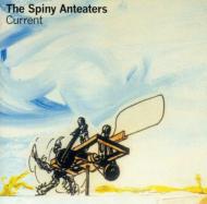 Spiny Anteaters/Current