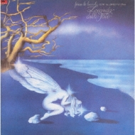 Forse Le Lucciole Non Si Amano Piu