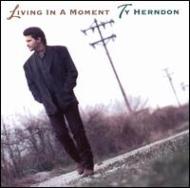 Ty Herndon/Living In A Moment