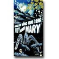 Miracle Night Diving Tour 96