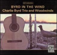 Byrd In The Wind