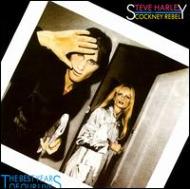 Steve Harley/Best Years Of Our Lifes