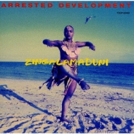 洋楽 Arrested Development Tennessee ‑ 曲・歌詞：Arrested Development | Spotify