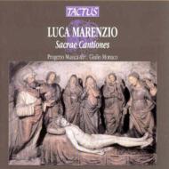 マレンツィオ、ルカ（1553-1599）/Sacre Cantiones： Progetto Musica