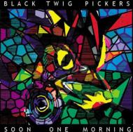 Black Twig Pickers/Soon One Morning
