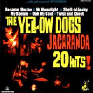 Yellow Dogs/Jacaranda 20hits!