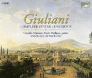 Comp.guitar Concertos: Maccari(G)Ensemble Ottocento Pugliese(G)