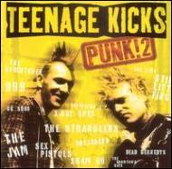 Various/Teenage Kicks Punk Vol.2