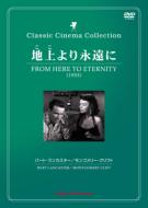 �n����i����