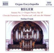 Organ Works Vol.5: Stefan Frank