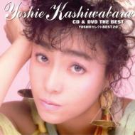 CD & DVD THE BEST::Fb YOSHIE ZNg BEST 20
