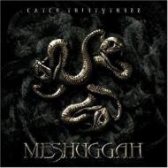 Meshuggah/Catch 33