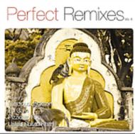 Various/Perfect Remixes Vol.4
