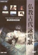 �����Ñ�r����