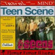 Travel With Your Mind