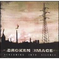 Screaming Into Silence