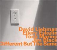 Dave Liebman (David) / Ellery Eskelin/Same But Different