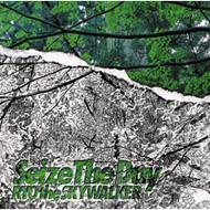 RYO the SKYWALKER / Seize The Day 7インチ RYO the SKYWALKER / Seize The Day 7インチ