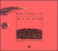 Various/One Night In Bloom