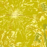 Bathing In Sunshowers