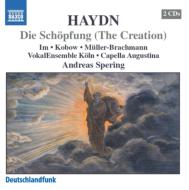 ハイドン（1732-1809）/Die Schopfung： A. spering / Capella Augustina Cologne Vocal Ensemble