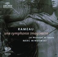 Une Symphonie Imaginaire: Minkowski / Les Musiciens Du Louvre