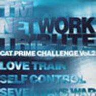 Cat Prime Challenge: 2: Tm Network Tribute