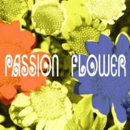 T-SQUARE/Passion Flower (Hyb)