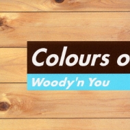 Various/Colours Of Groove 4 - Woody'nyou