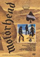 Ace Of Spades