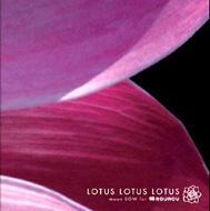 Lotus Lotus Lotus