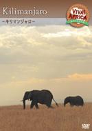 �r�o �A�t���J: Vol.5: ���ۓ`��