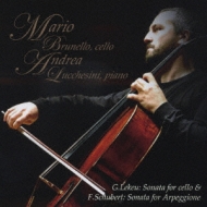 �A���y�W���[�l�E�\�i�^�A���@�u���l�b���ivc�j���P�V�[�j�ip�j