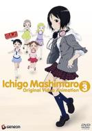 Ichigo Mashimaro Original Video Animation 3