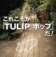 The Complete Single Box Kore Koso Ga [tulip Pop] Da !