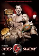 WWE �T�C�o�[��T���f�[ 2006