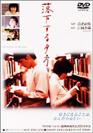 Falling Into The Evening