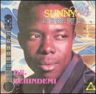 King Sunny Ade/Dr. Dehindemi