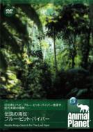 �A�j�}�� �v���l�b�g: �`���̓Ŏ�: �u���[�s�b�g �o�C�p�[